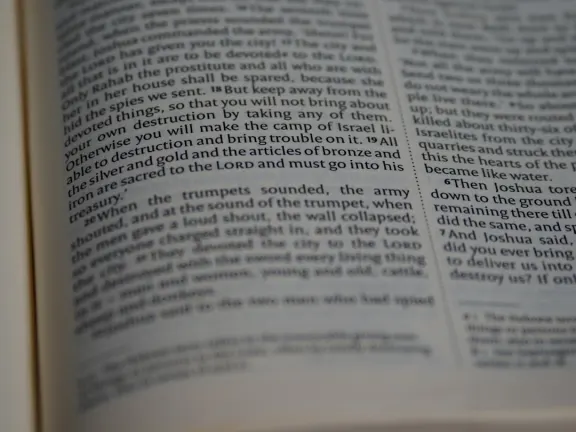 Хейго Казино Поддръжка